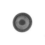 SP. OTT. ST.L/TIPO BECCHI UR - L0308